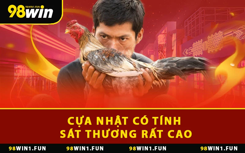 Cựa Nhật có tính sát thương rất cao