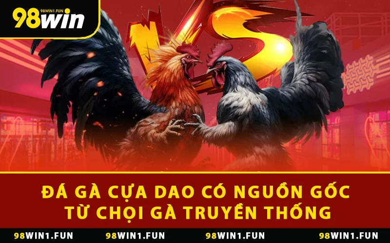 Đá gà cựa dao có nguồn gốc từ chọi gà truyền thống