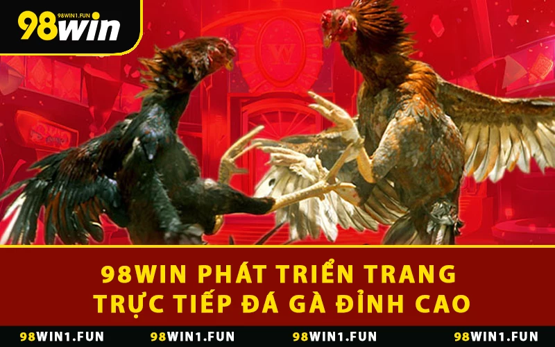 98WIN phát triển trang trực tiếp đá gà đỉnh cao