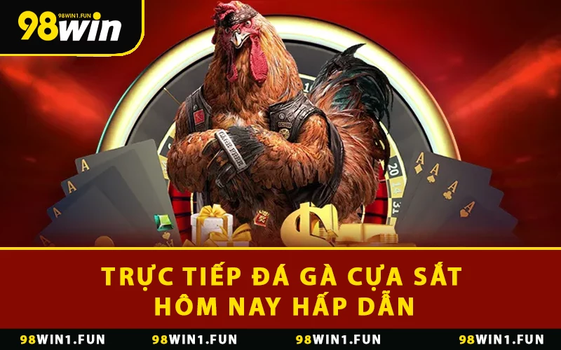 Trực tiếp đá gà cựa sắt hôm nay hấp dẫn