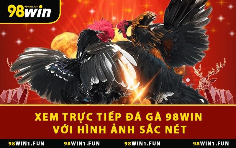 Xem trực tiếp đá gà 98WIN với hình ảnh sắc nét