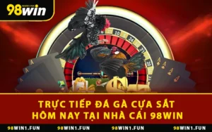 Trực Tiếp Đá Gà Cựa Sắt Hôm Nay Tại Nhà Cái 98WIN