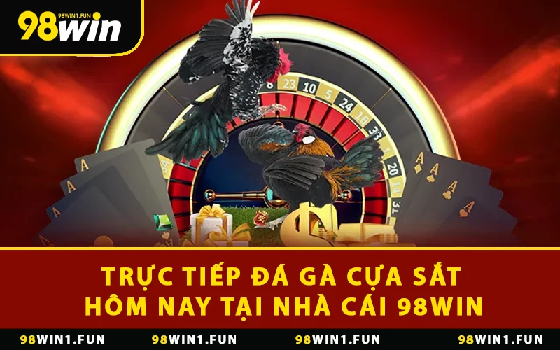 Trực Tiếp Đá Gà Cựa Sắt Hôm Nay Tại Nhà Cái 98WIN
